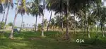4 acres agri farm land for sale with well and eb connection
