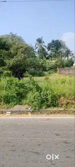 Commerical Land for sale in Kuttanellur, Thrissur