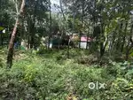 land suitable for house plots 1 acre 54 cent 70000 per cent.