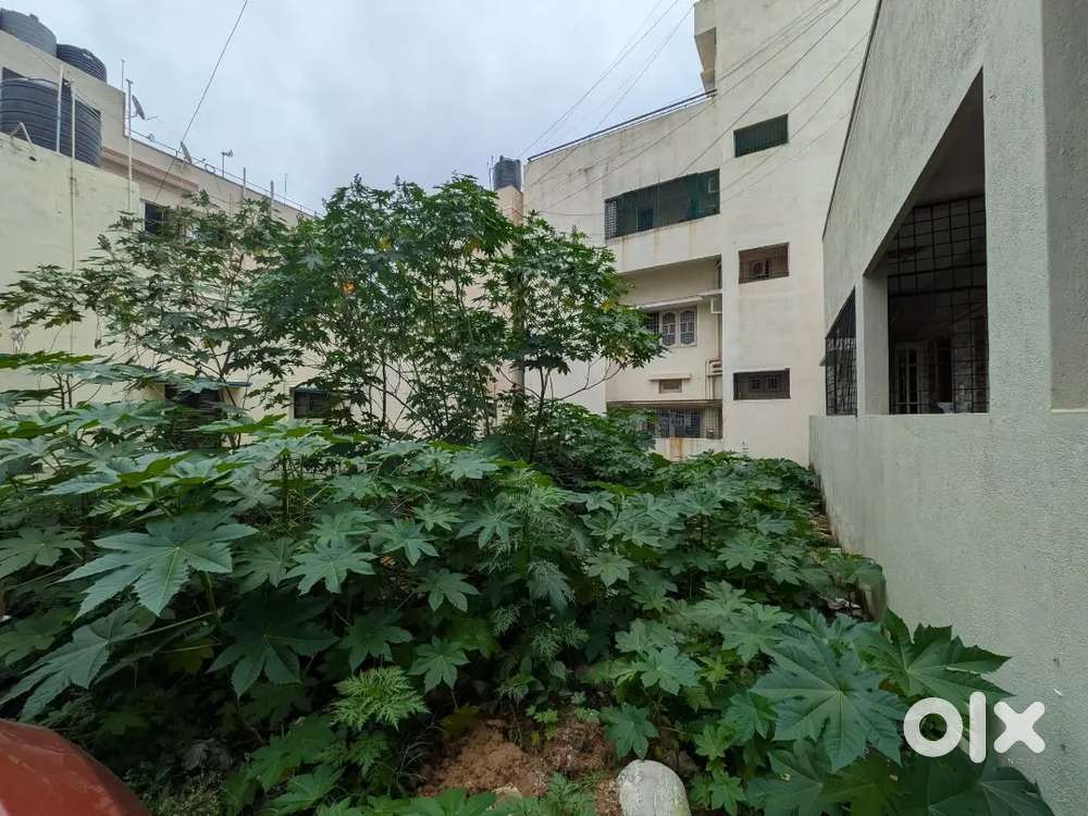 Site for sale