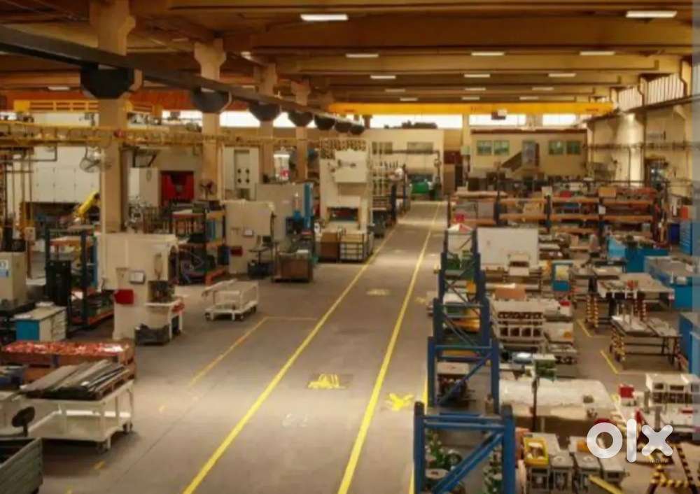 Logistic company staff