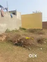 200 गज प्लॉट बिकाऊ रजिस्ट्री इंतकाल शीतल नगर रोहतक