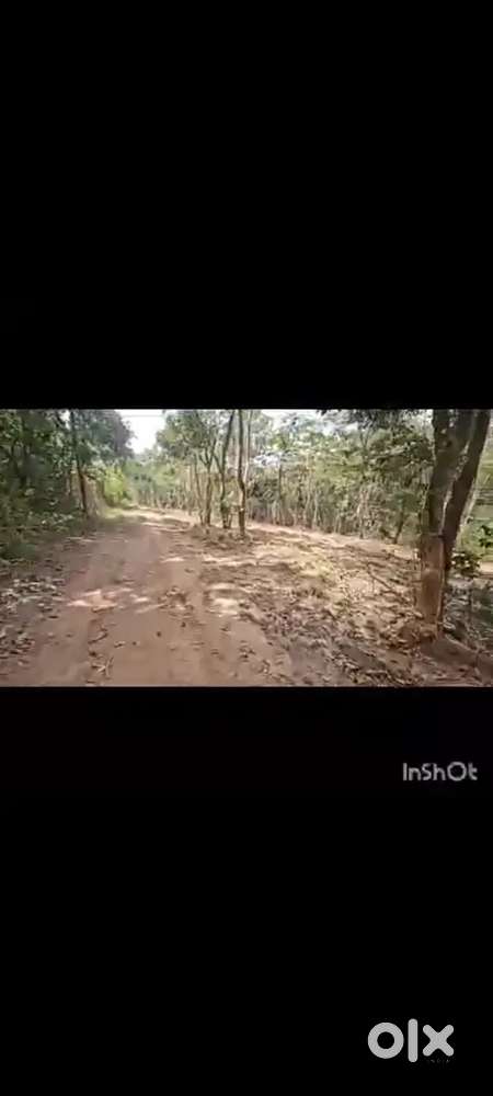 Peacefull agricultural land near shanivarsanthe with gud road access