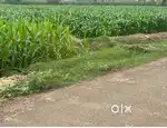 70 cent farm land sale