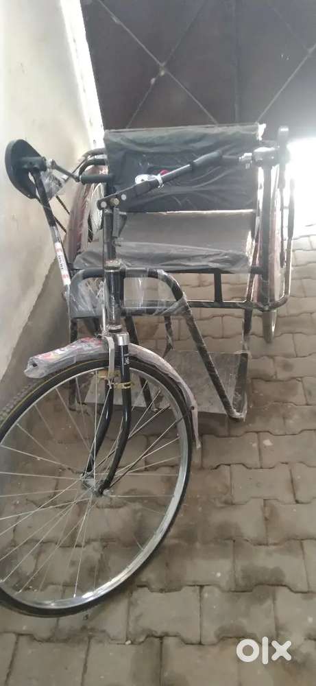 Brand new handicap cycle