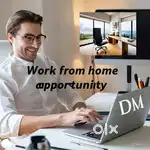 Work from home jobs students housewife needy person dm