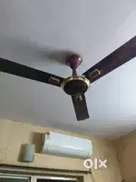 Ceiling fan designer rally co - 3 units