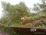 40 cent plot