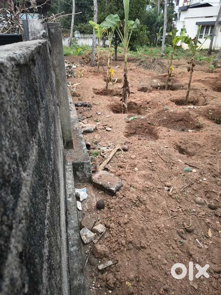 14 CENT PLOT FOR SALE IN MELVETOOR PRIME AREA