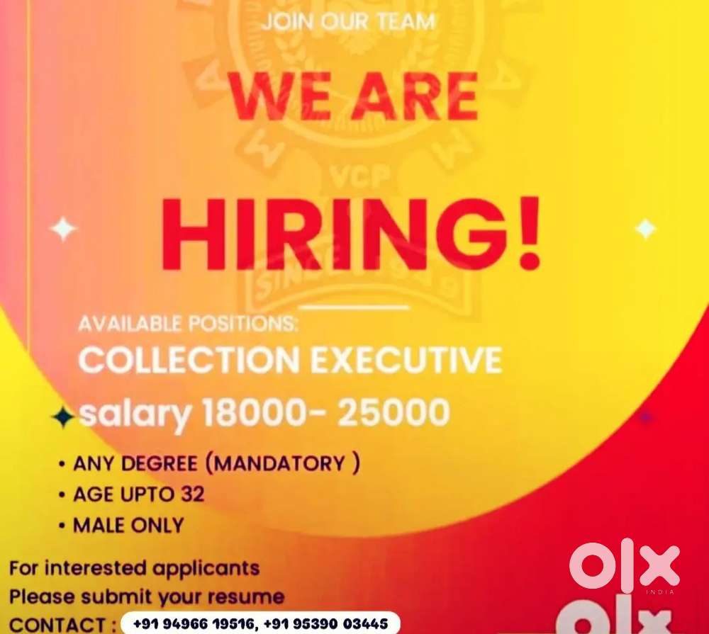 Collection Executive