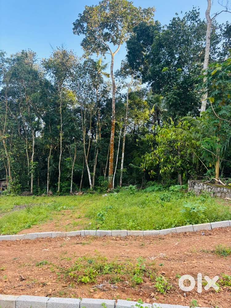 ‼️Nedumagad Kogganam 5 cent house plot for sale ‼️