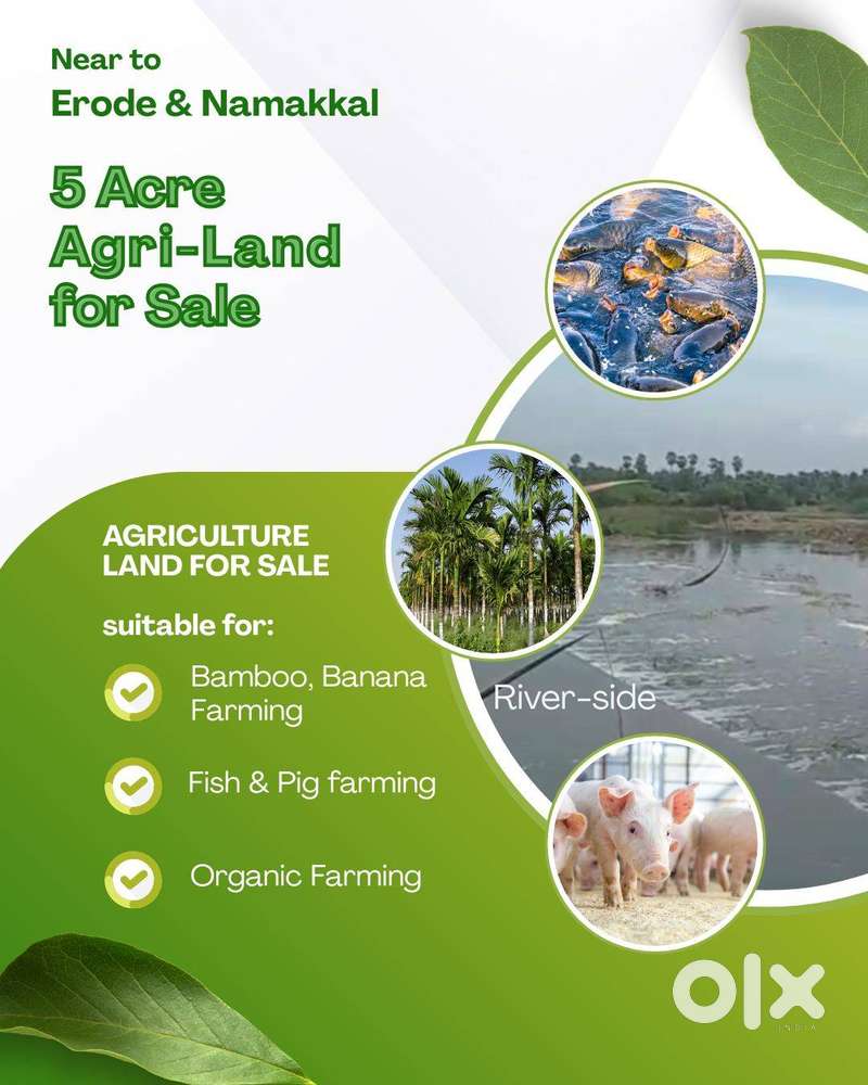 Agri land for sale