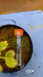 Glass bottle
