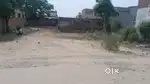 1000 Gaj plot