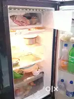 Fresh condition
