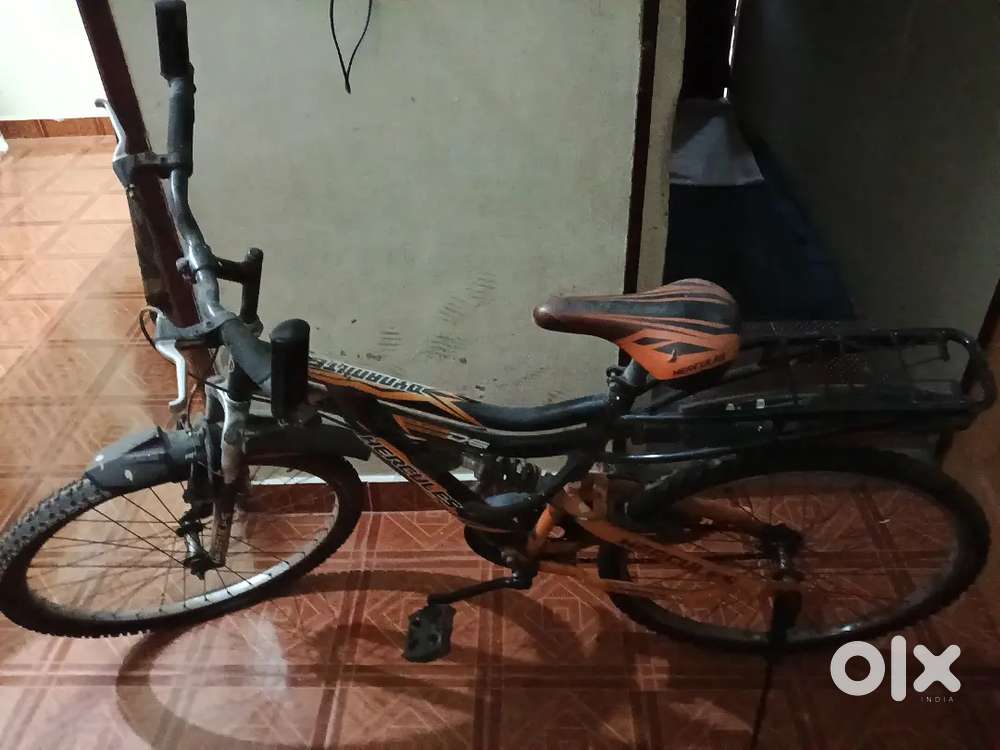 Hercules Bicycle