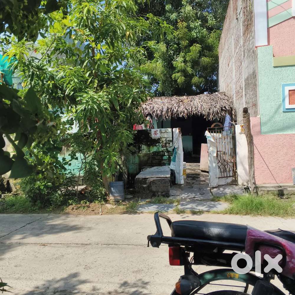 Girls allowed Bachelors  & job holders allowed