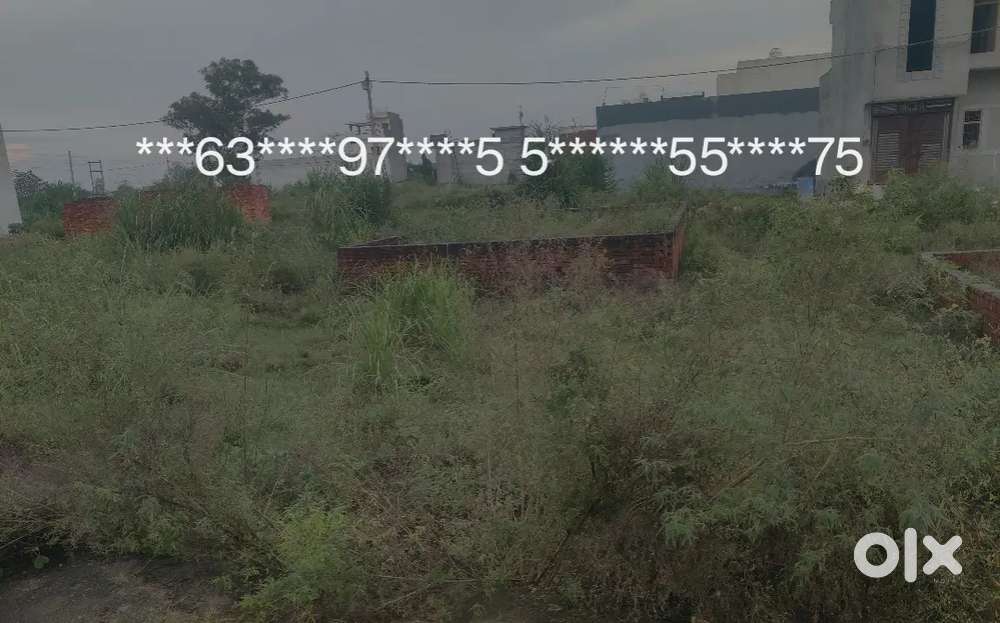 Best' location pilot