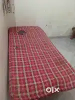 Room is available for girls only