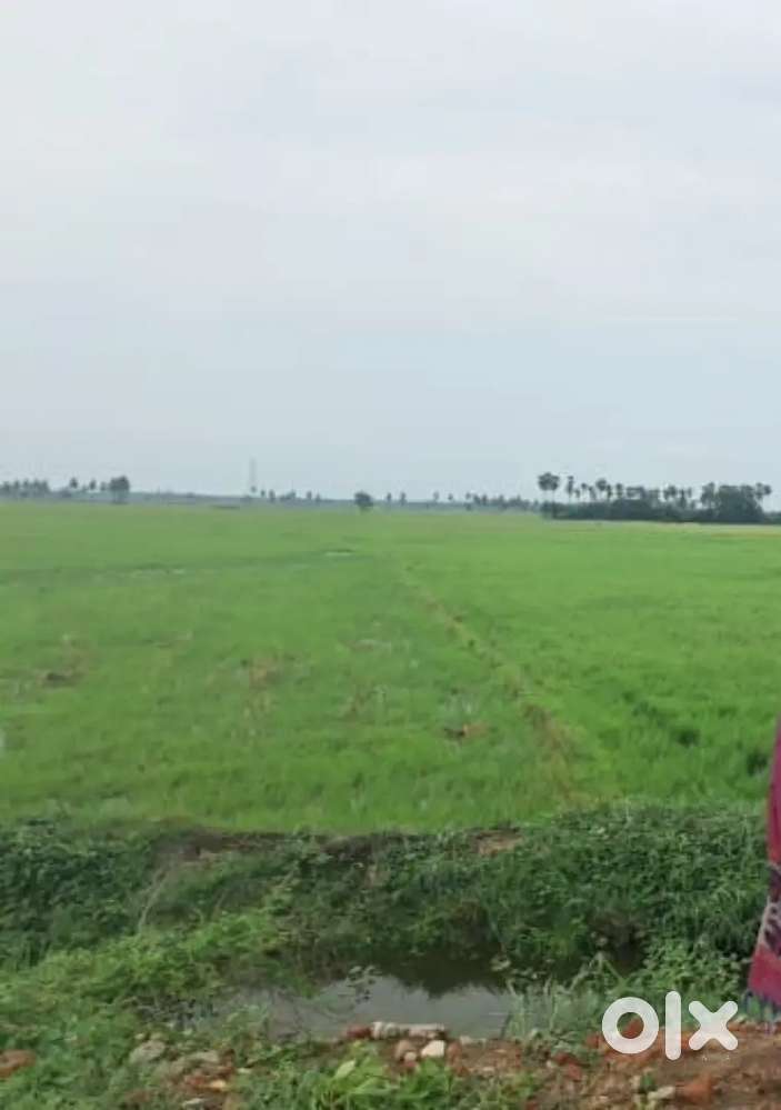 AGRICULTURE LAND FOR SALEE