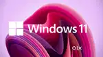 Original Window 11 seal pack