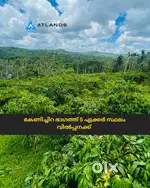 കേണിച്ചിറ ഭാഗത്ത് 5 ഏക്കർ സ്ഥലം വിൽപ്പനക്ക്