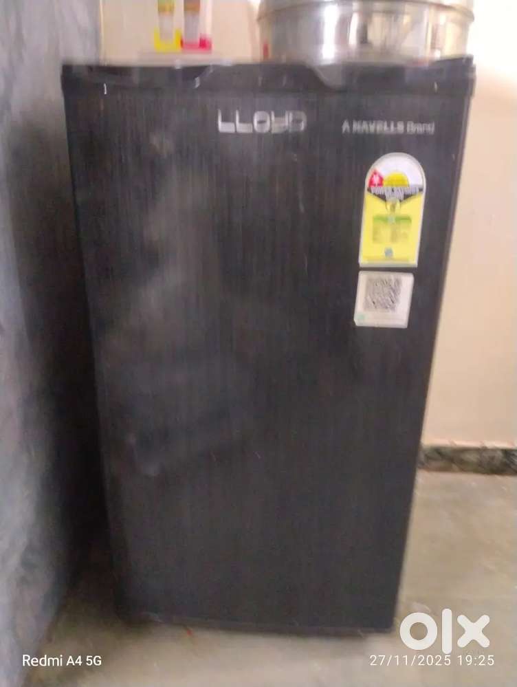 Lloyd company fride nic codition new fride