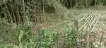 Land for Sale in Kendugri No 2 Bamun Gaon