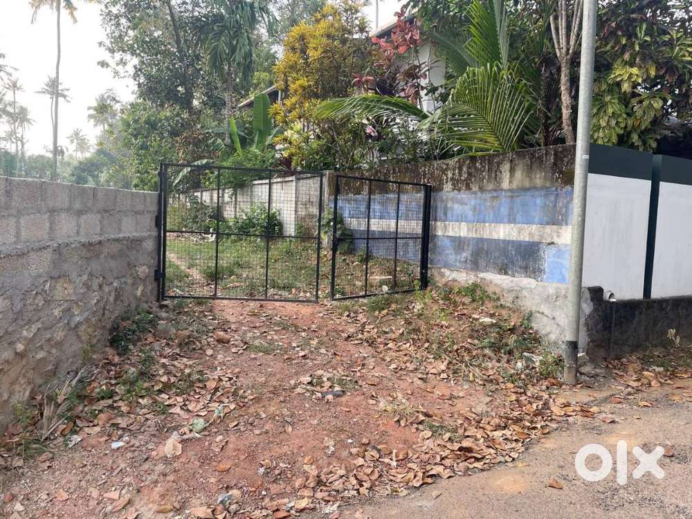 Residential Plots for Sale – Mayyanad, Kollam - Near Vellapimukku