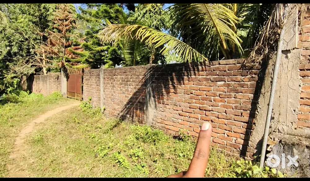 1katha 10lessa and 1katha 12lessa