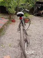 Gear cycle