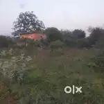 Land for Farm House, Wharehouse or Small Industry