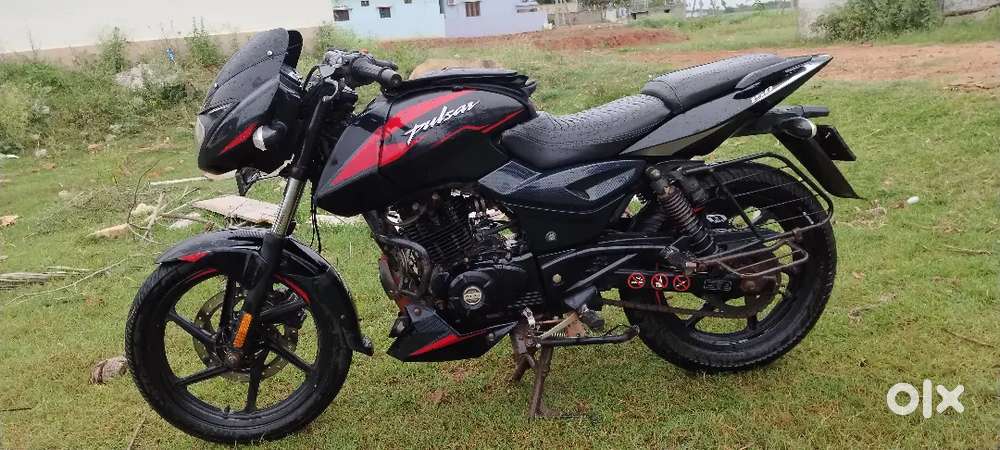 Pulsar twin disc black n red