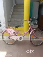 Lady bird cycle pink colour