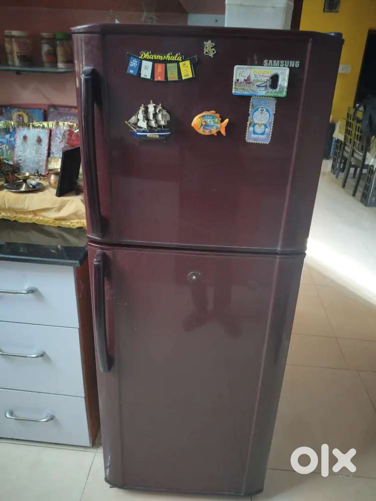 Samsung fridge double door
