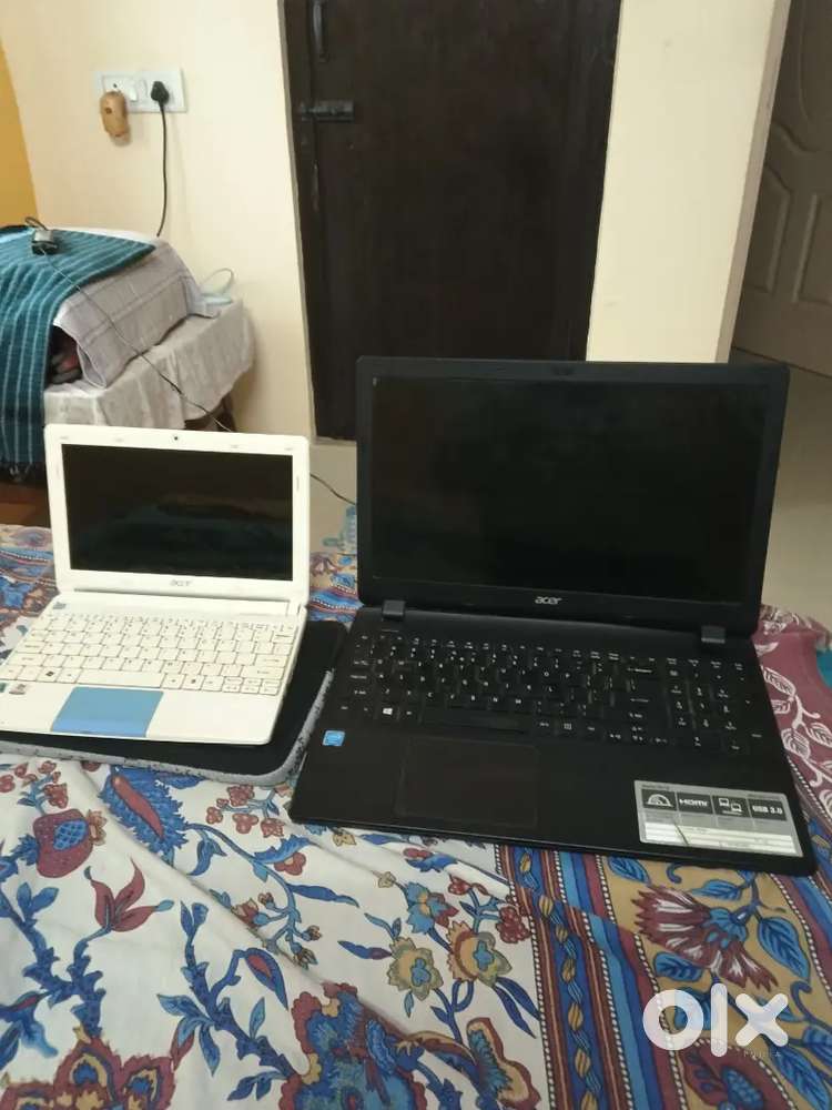 Acer 5 years old and Small size Acer 8years old