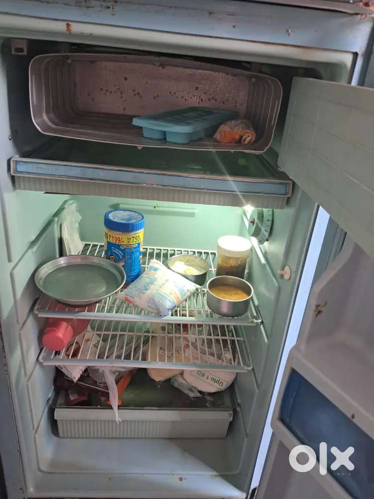 Cavender fridge