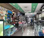 Aquarium shop for sale full set up