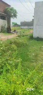Avadi next veltch nearby patta land by