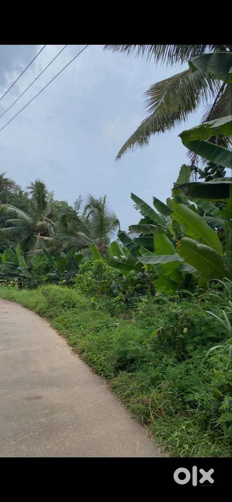 17 Cent Land for Sale in Venkuzhi, Poovathoor