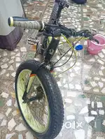 Phonix cycle