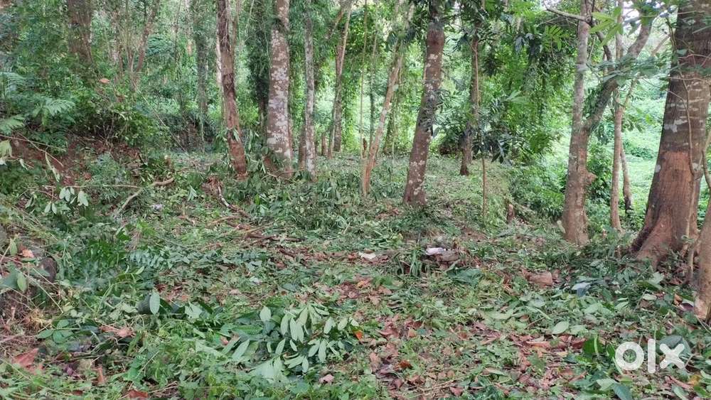 58 cent for sale at punalur