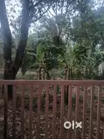 Thrissur mannuthy near ollukkara 5.5 cent plot for sale