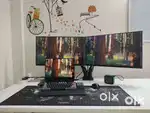 Jin Office Dual Monitor Stand Gas Spring Arm
