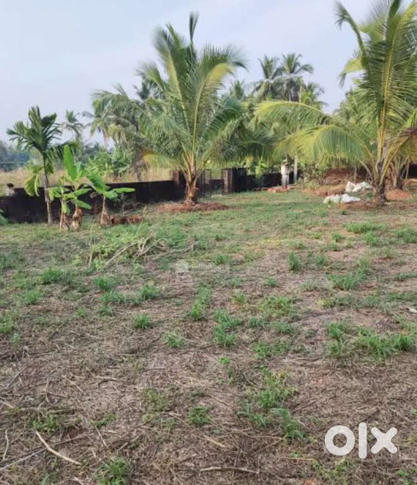 Cheruvathur behind kovval juma masjid