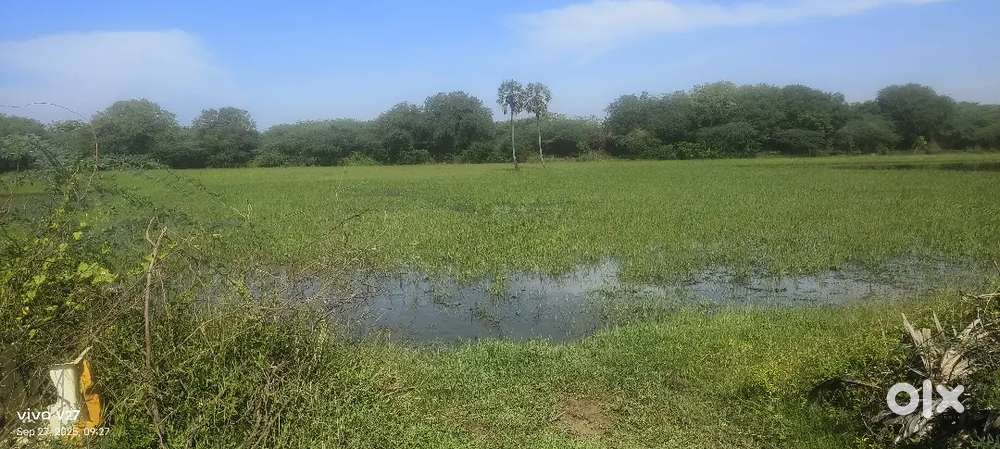 Agri land at location pinnalure near vadalure