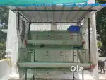 Chicken Cage