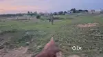 Kakuturu anukoni 33 Ank plot 18lakhs only