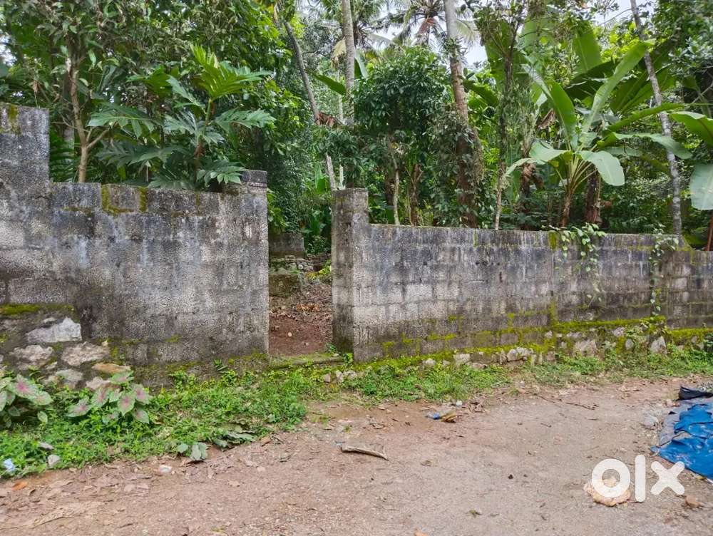 6 cent  Near Santhigiri Ashram Pothancond ( Lorry site)