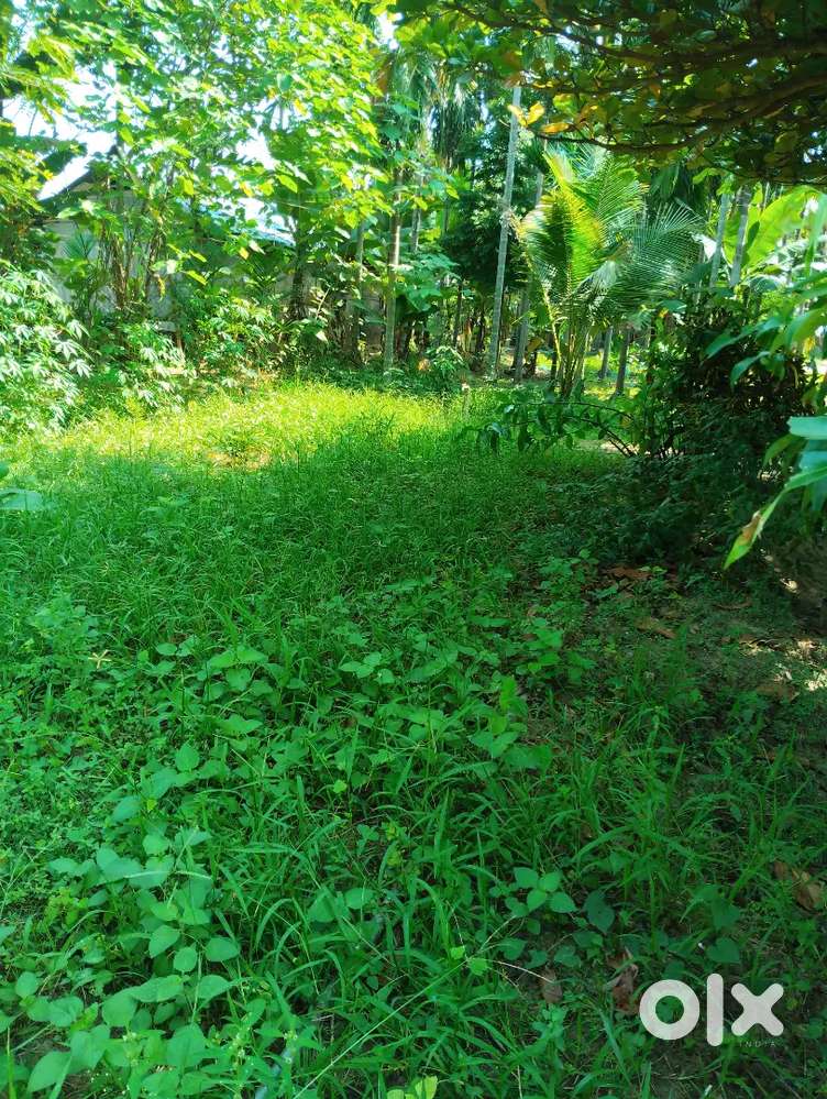 Land for urgent sell